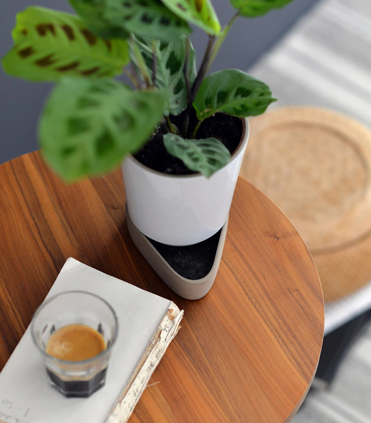 Sip Plant Pot - Image 3